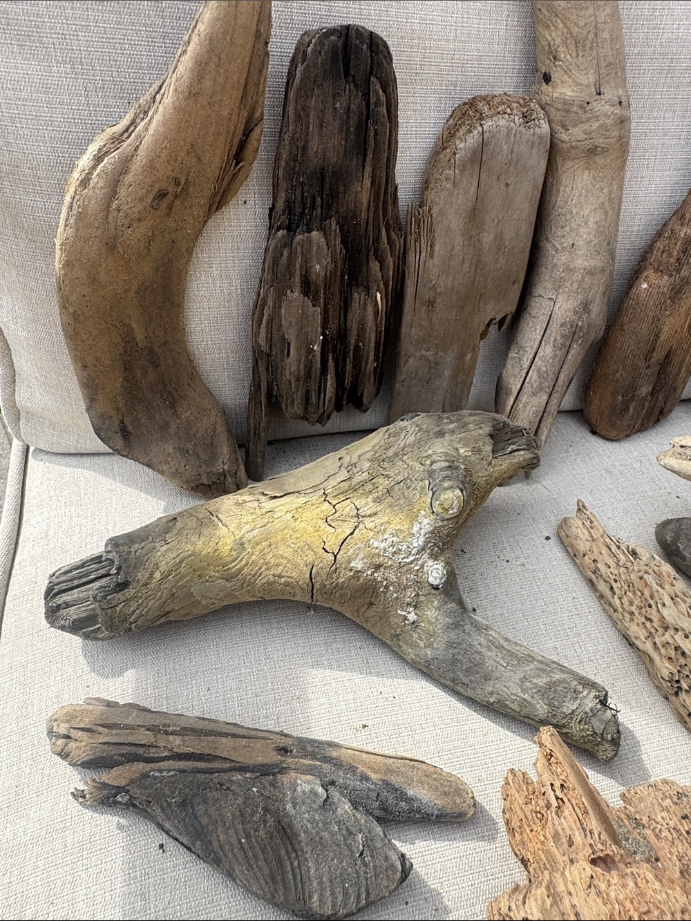 For LYNDA 19 pc (5 lb shipped) Natural Driftwood for Craft, Projects, Upcycle - Picture 6 of 16